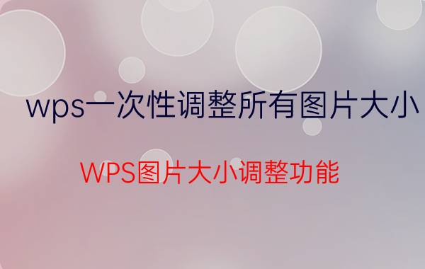 wps一次性调整所有图片大小 WPS图片大小调整功能